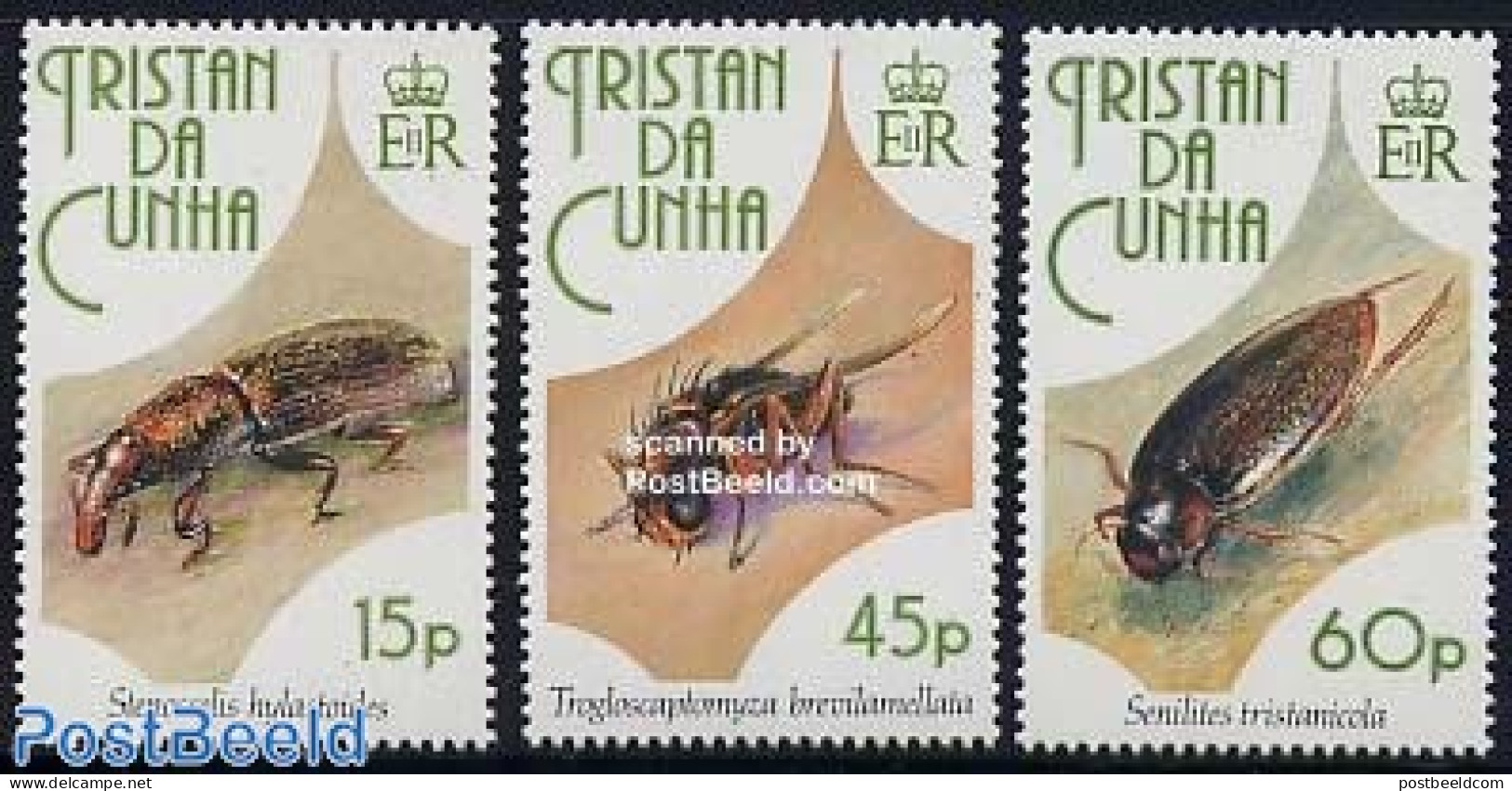 Tristan Da Cunha 1993 Insects 3v, Mint NH, Nature - Insects - Tristan Da Cunha