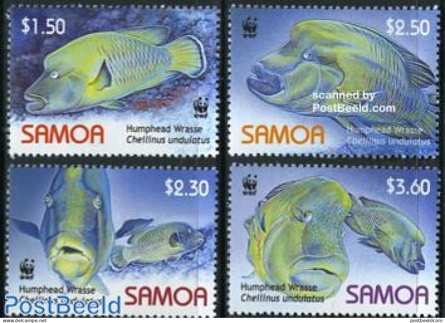 Samoa 2006 WWF, Fish 4v, Mint NH, Nature - Fish - World Wildlife Fund (WWF) - Poissons
