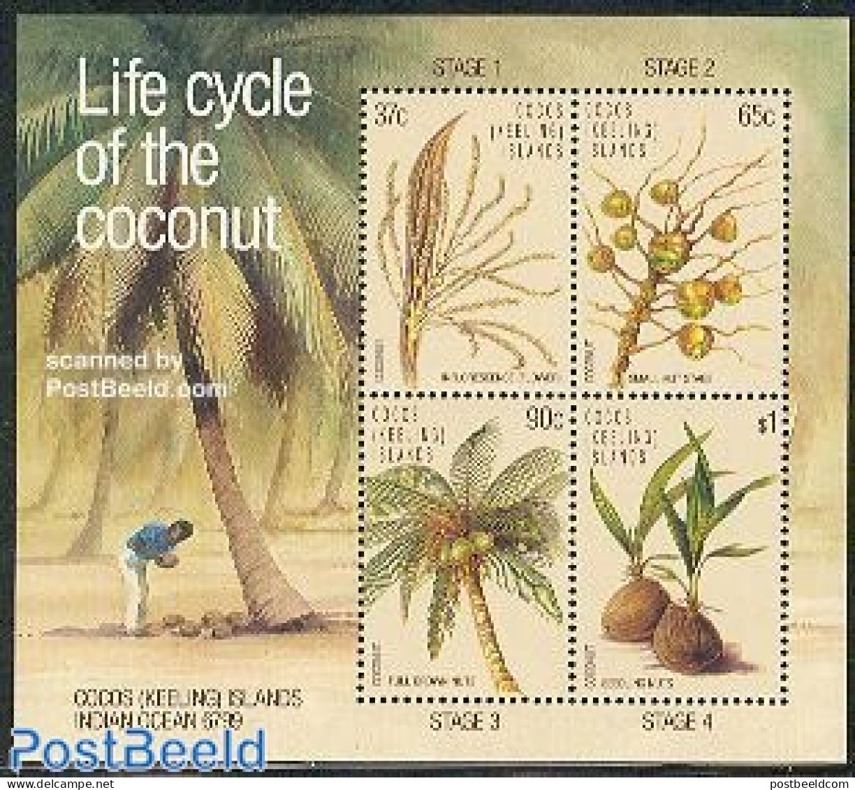 Cocos Islands 1988 Coconuts S/s, Mint NH, Nature - Flowers & Plants - Fruit - Trees & Forests - Frutta