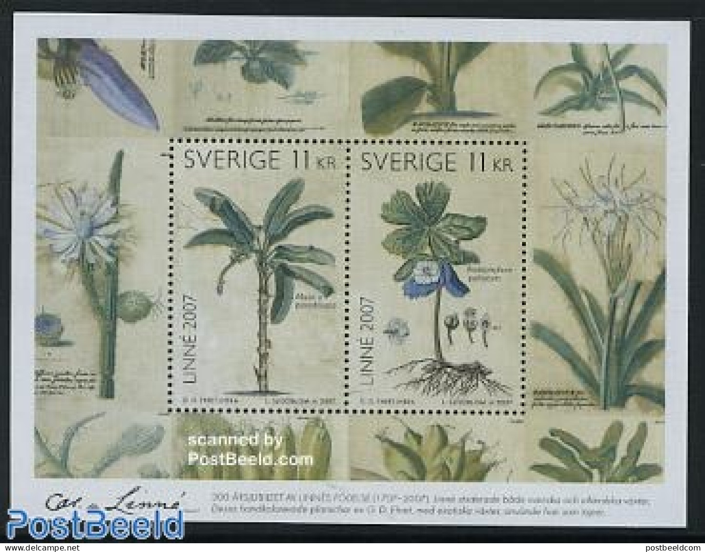 Sweden 2007 Carl Linaeus S/s, Mint NH, Nature - Flowers & Plants - Unused Stamps