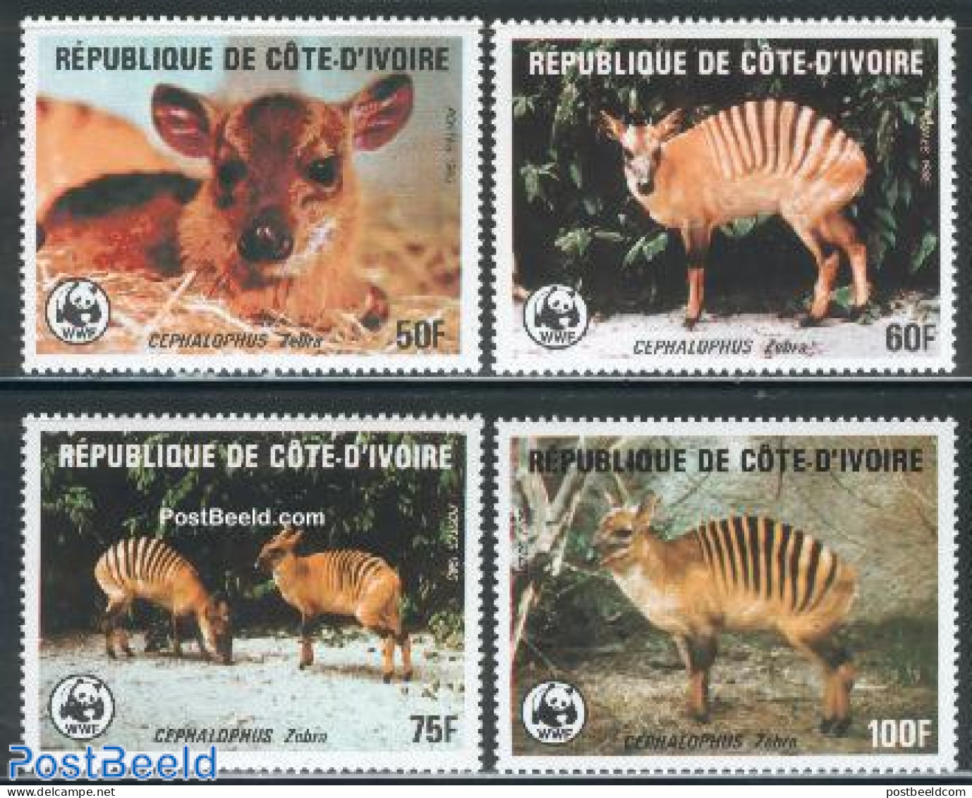 Ivory Coast 1985 WWF, Zebraducker 4v, Mint NH, Nature - Animals (others & Mixed) - World Wildlife Fund (WWF) - Ungebraucht