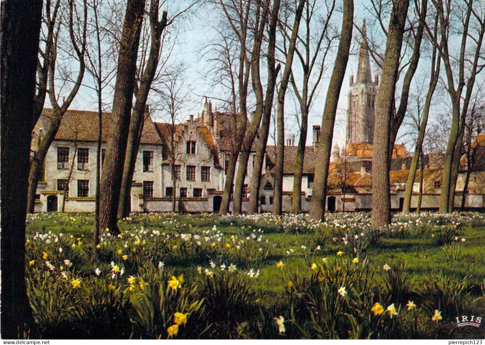 Bruges - Le Monastère De La Vigne - Brugge