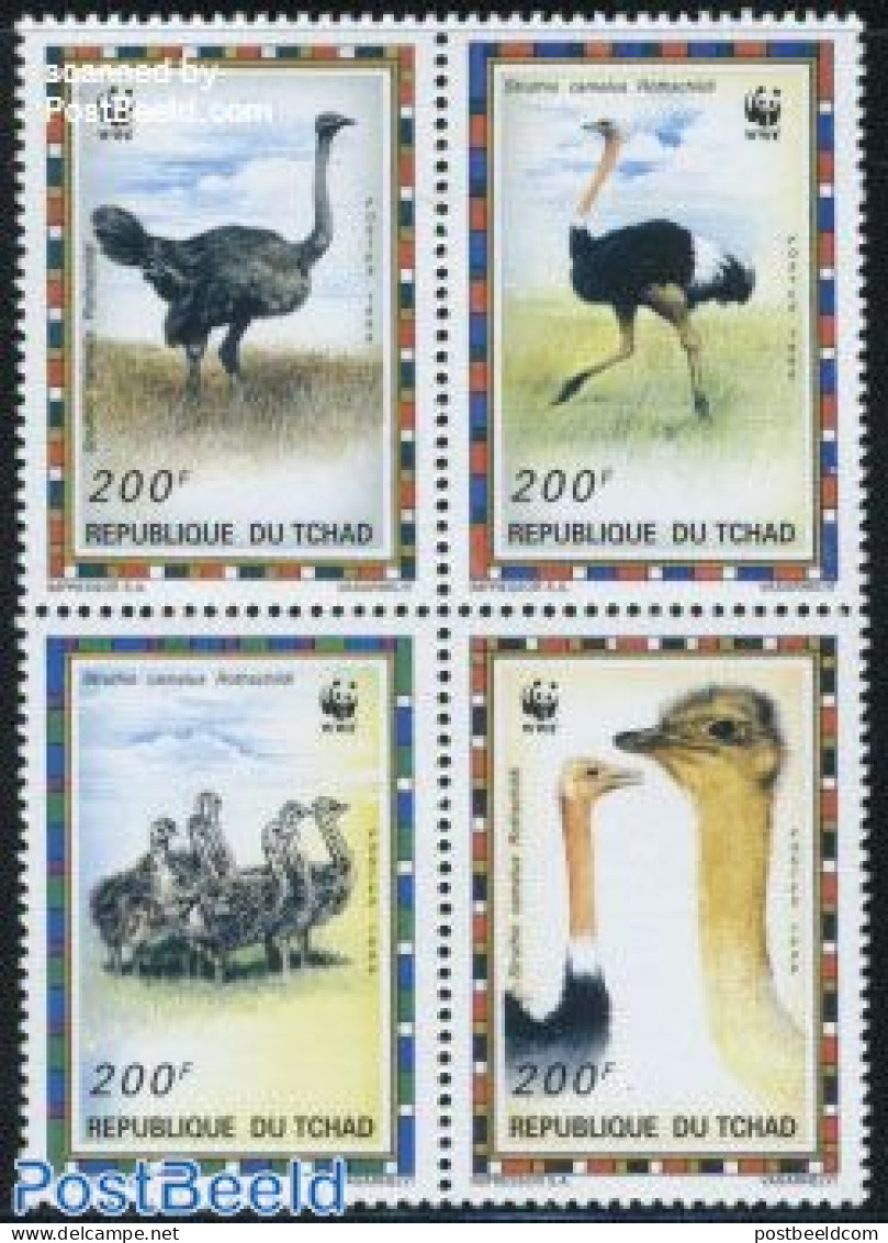 Chad 1996 WWF, Ostrich 4v [+], Mint NH, Nature - Birds - World Wildlife Fund (WWF) - Sonstige & Ohne Zuordnung