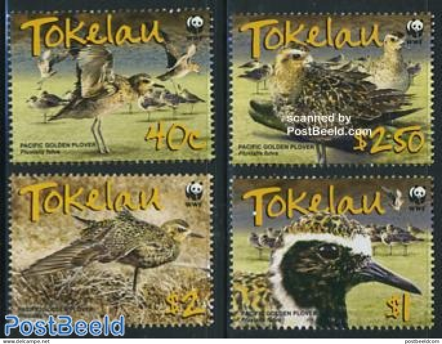Tokelau Islands 2007 WWF, Pacific Golden Plover 4v, Mint NH, Nature - Birds - World Wildlife Fund (WWF) - Tokelau