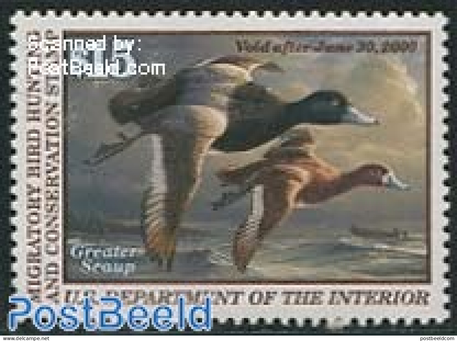 United States Of America 1999 Migratory Bird Hunting Stamp 1v, Greater Scaup, Mint NH, Nature - Birds - Ducks - Hunting - Nuovi