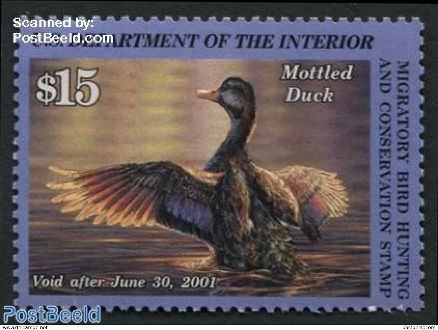 United States Of America 2000 Migratory Bird Hunting Stamp 1v, Mottled Duck, Mint NH, Nature - Birds - Ducks - Hunting - Nuovi