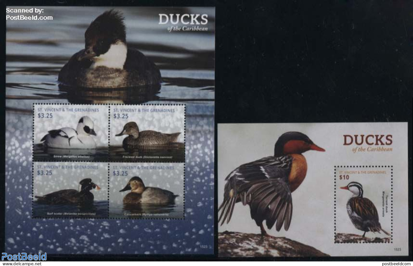 Saint Vincent 2015 Ducks Of The Caribbean 2 S/s, Mint NH, Nature - Birds - Ducks - St.Vincent (1979-...)