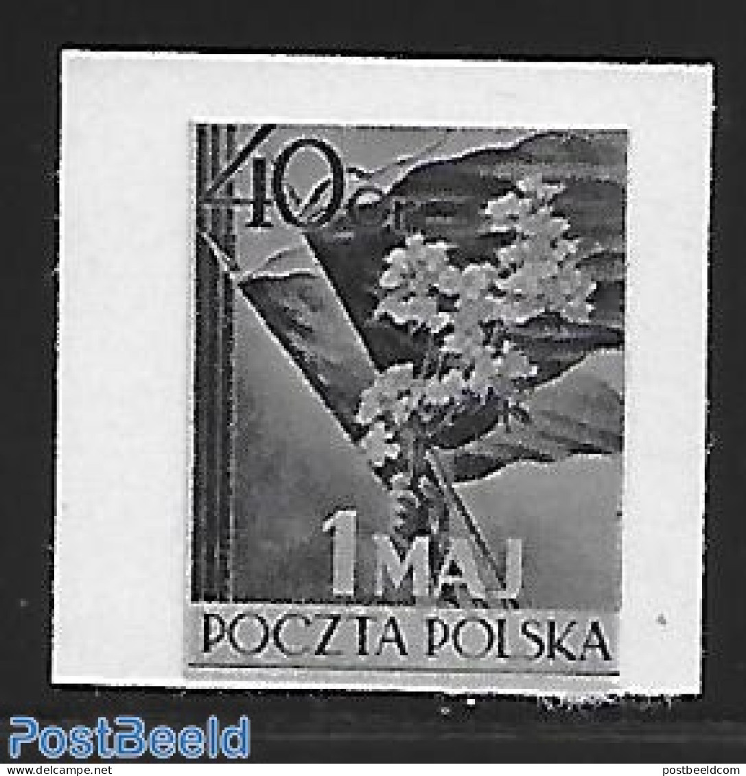 Poland 1954 Blackprint Imperforated., Mint NH, Nature - Flowers & Plants - Ongebruikt