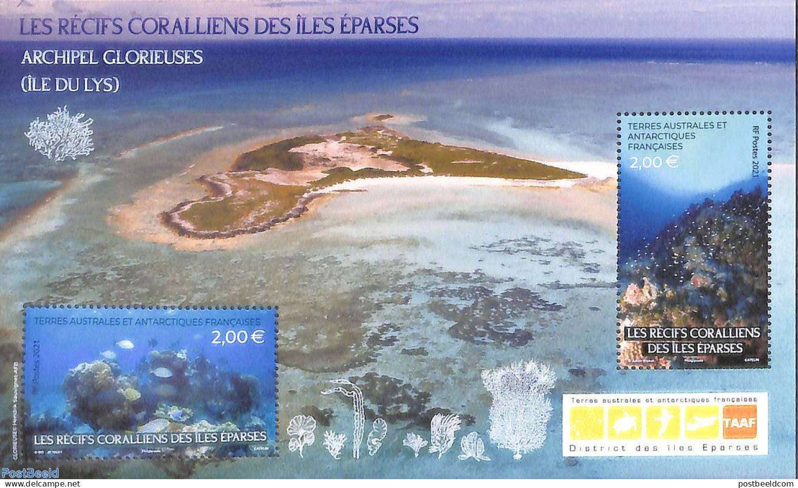 French Antarctic Territory 2021 Coral Reefs S/s, Mint NH, Nature - Ongebruikt