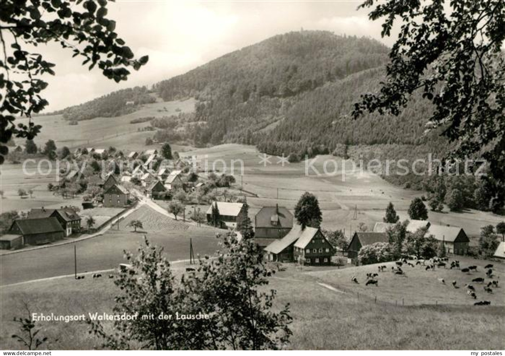 73032633 Waltersdorf Zittau Lausche Panorama Waltersdorf Zittau - Grossschoenau (Sachsen)