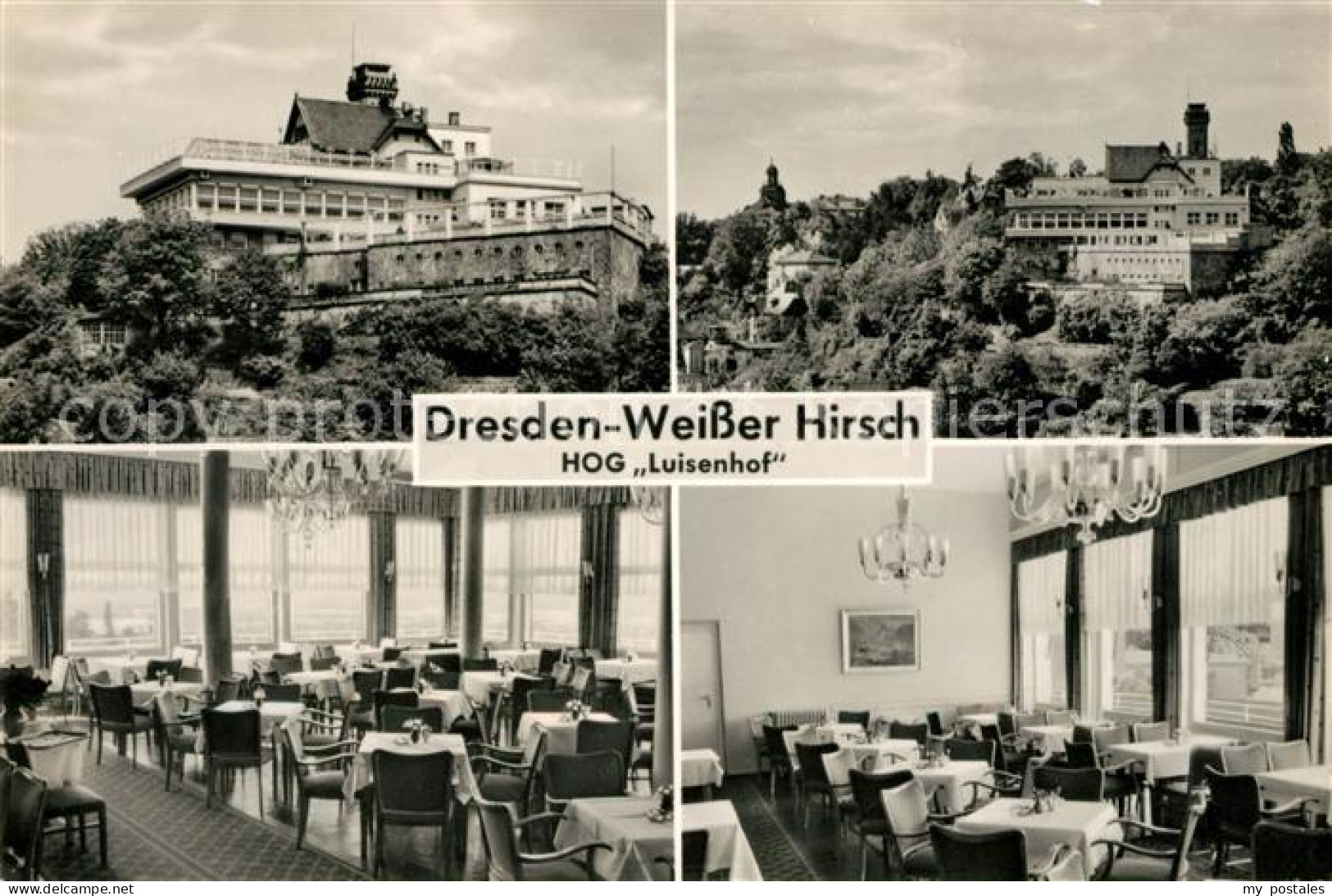 73032577 Dresden Weisser Hirsch HOG Luisenhof Dresden - Dresden