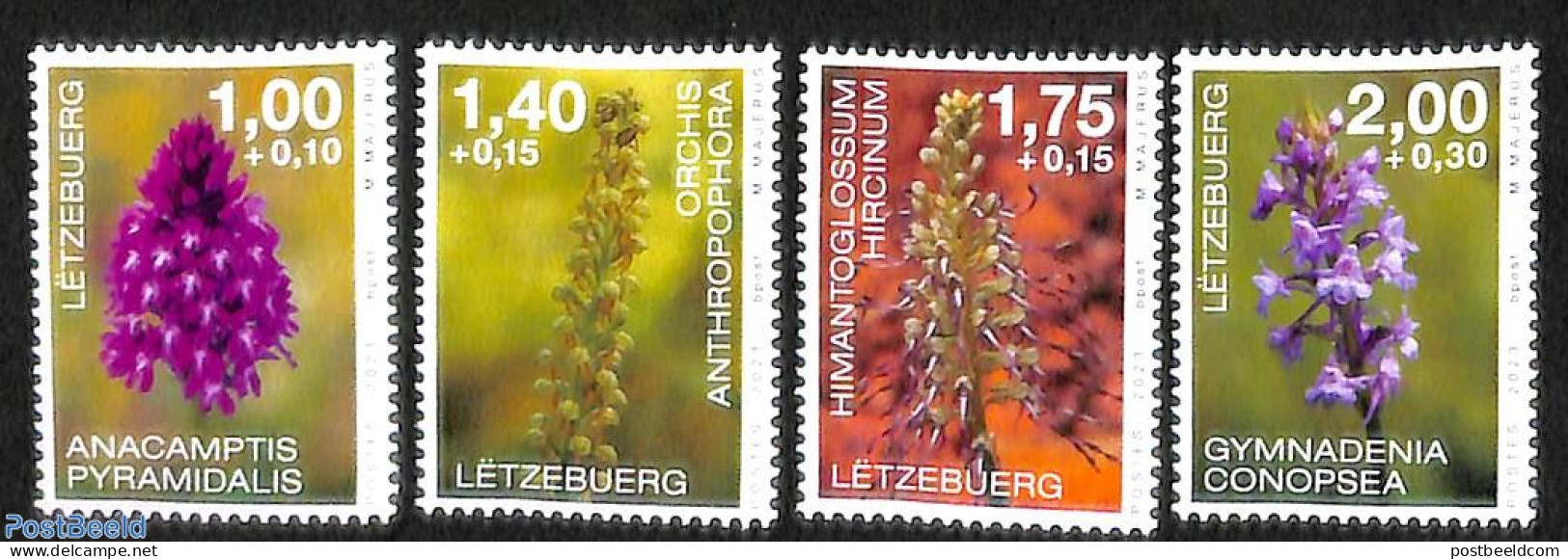 Luxemburg 2023 Orchids 4v, Mint NH, Nature - Flowers & Plants - Orchids - Ungebraucht