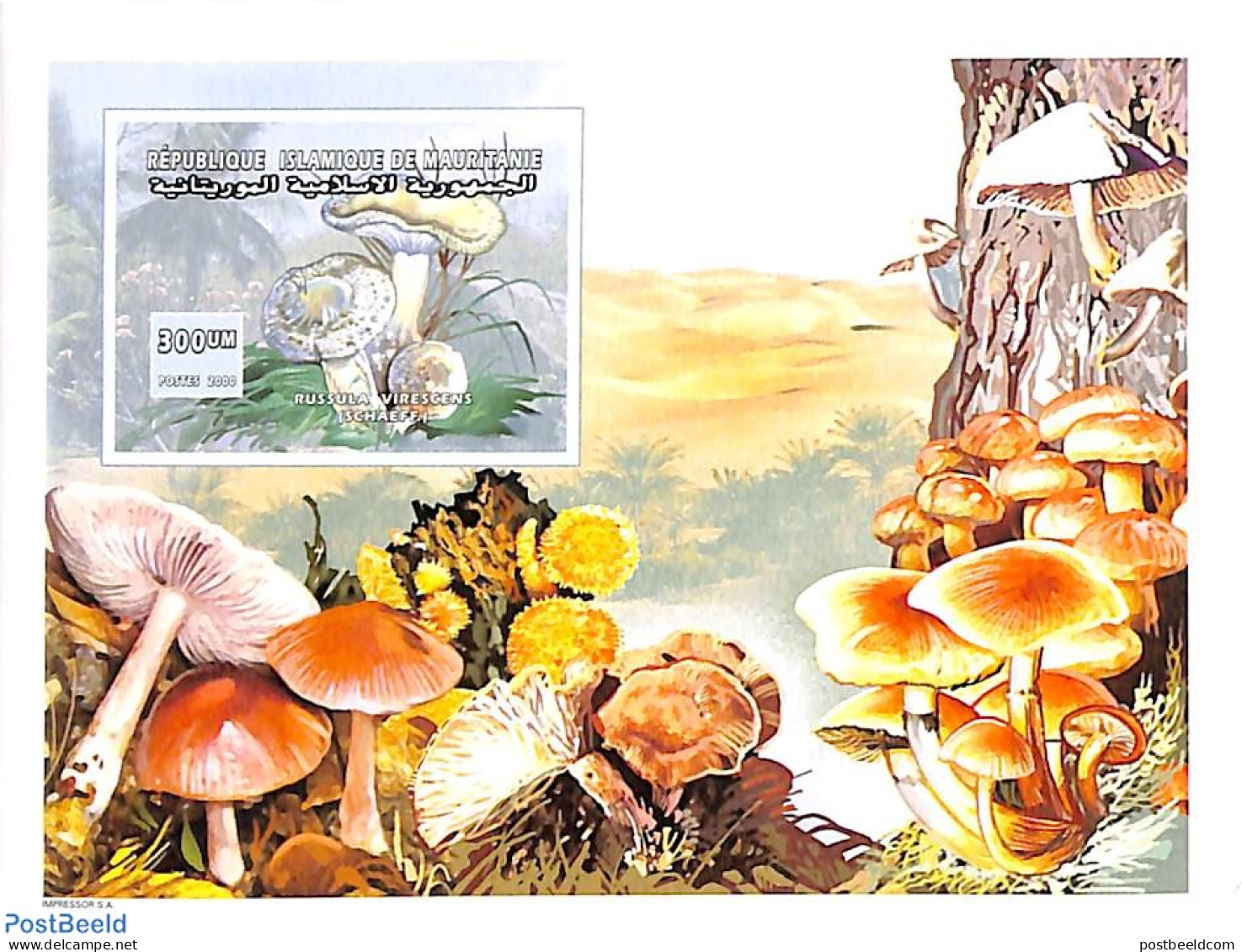 Mauritania 2000 Mushrooms S/s, Imperforated, Mint NH, Nature - Mushrooms - Pilze