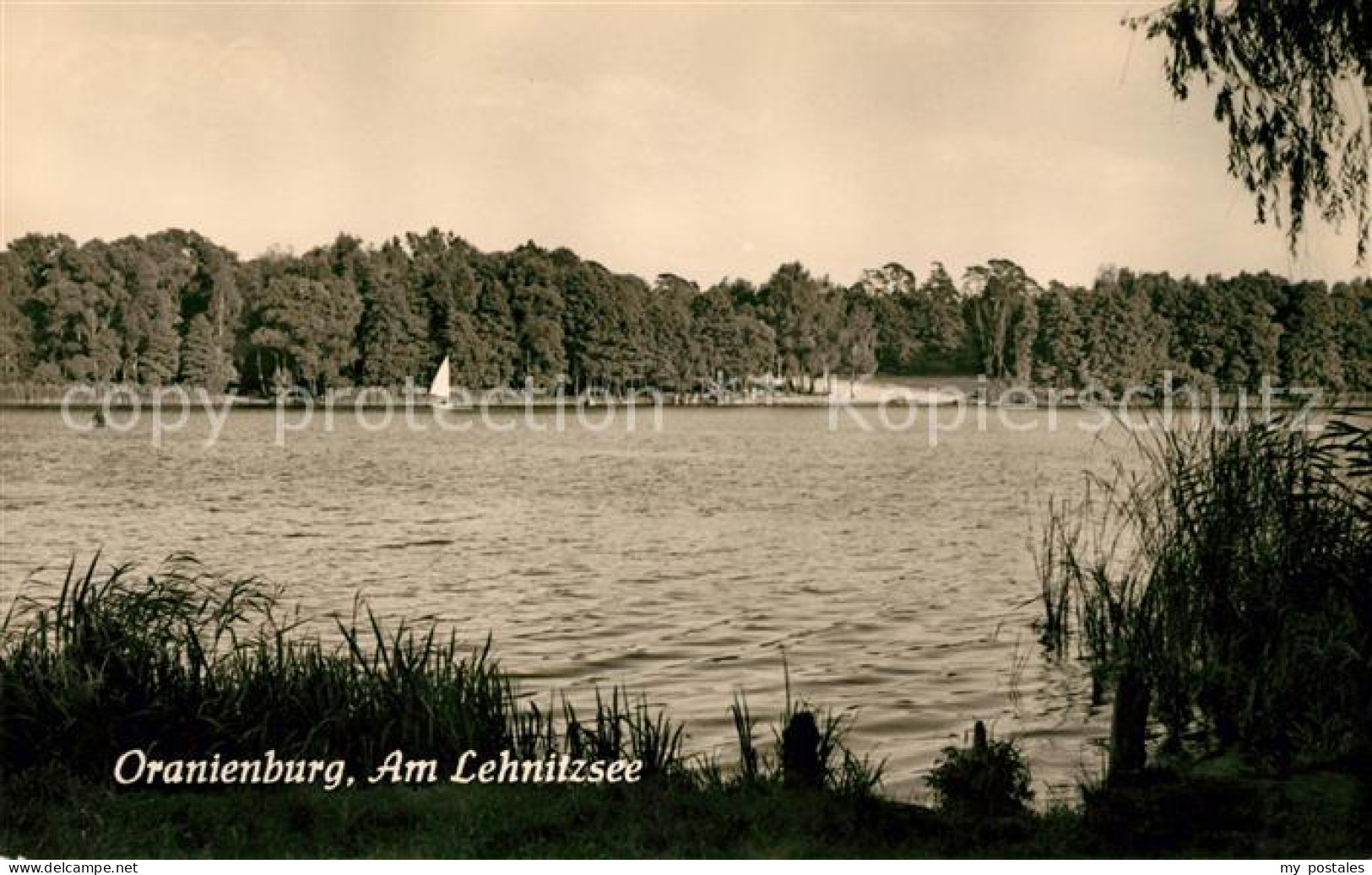 73032548 Oranienburg Lehnitzsee Oranienburg - Oranienburg