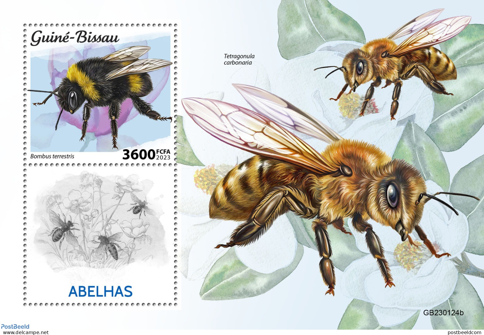 Guinea Bissau 2023 Bees, Mint NH, Nature - Bees - Guinée-Bissau