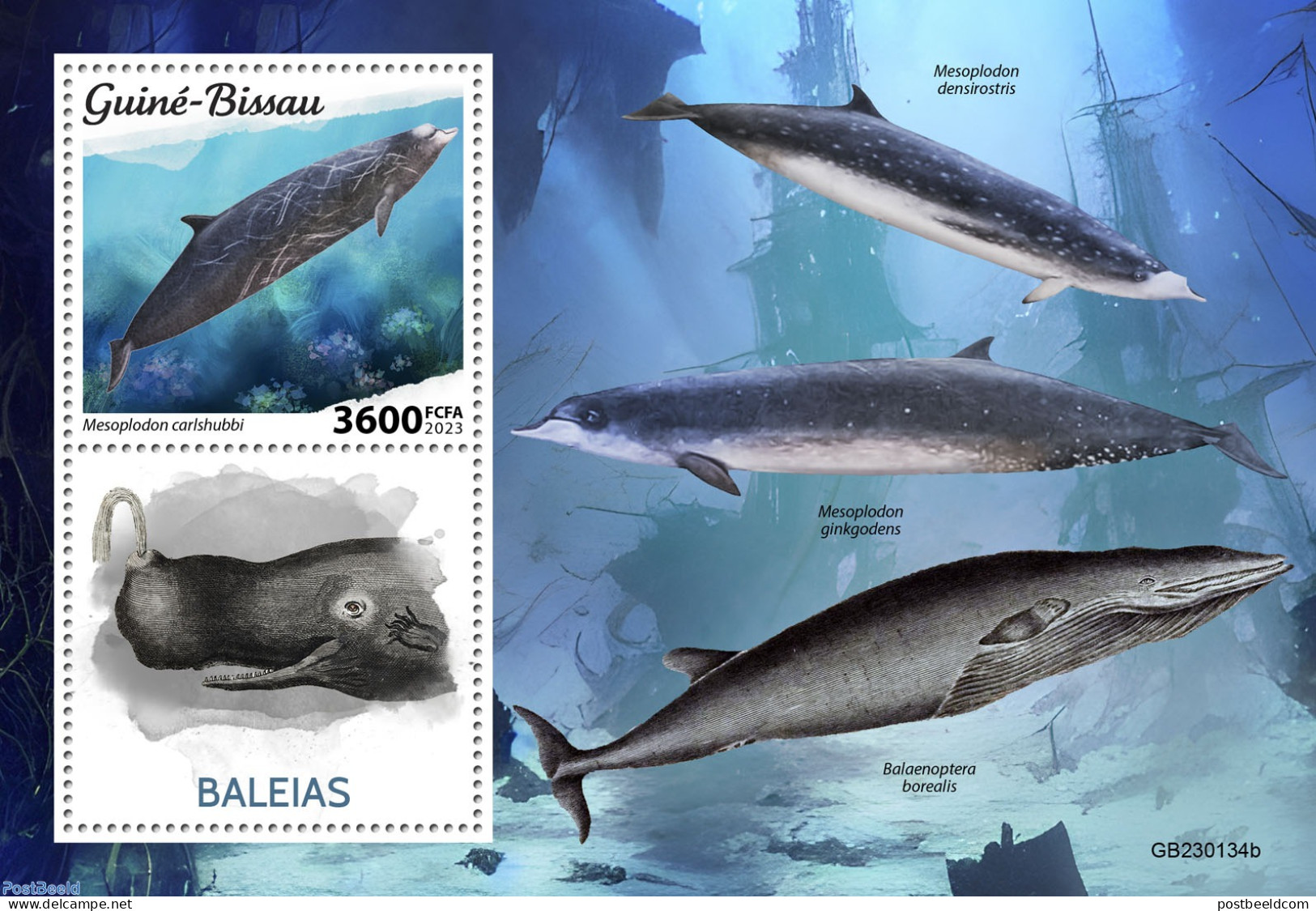 Guinea Bissau 2023 Whales, Mint NH, Nature - Sea Mammals - Guinée-Bissau