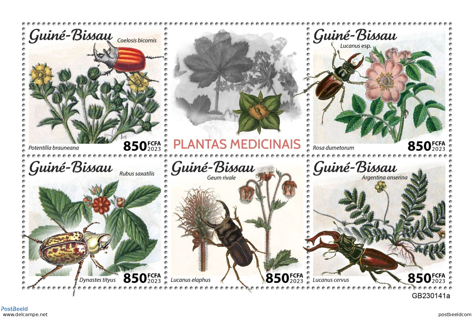Guinea Bissau 2023 Medical Plants, Mint NH, Nature - Flowers & Plants - Insects - Guinée-Bissau