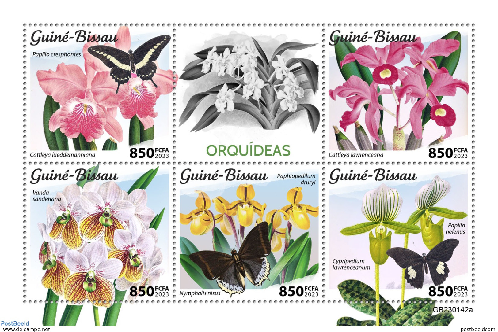 Guinea Bissau 2023 Orchids, Mint NH, Nature - Butterflies - Flowers & Plants - Orchids - Guinea-Bissau