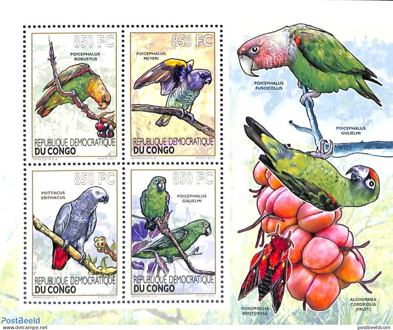 Congo Dem. Republic, (zaire) 2012 Parrots 4v M/s, Mint NH, Nature - Birds - Parrots - Autres & Non Classés