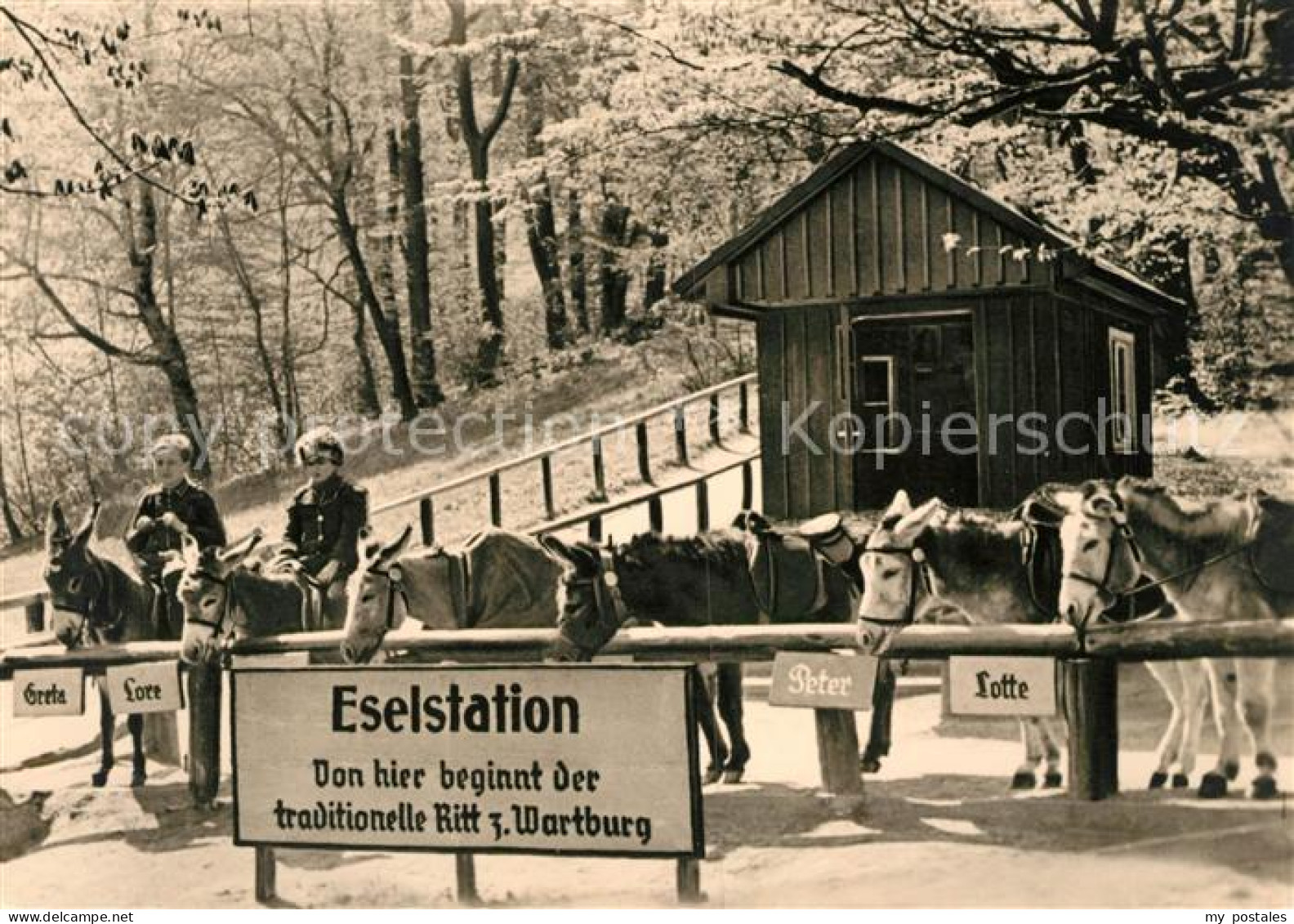 73032296 Eisenach Thueringen Eselstation Eisenach Thueringen - Eisenach