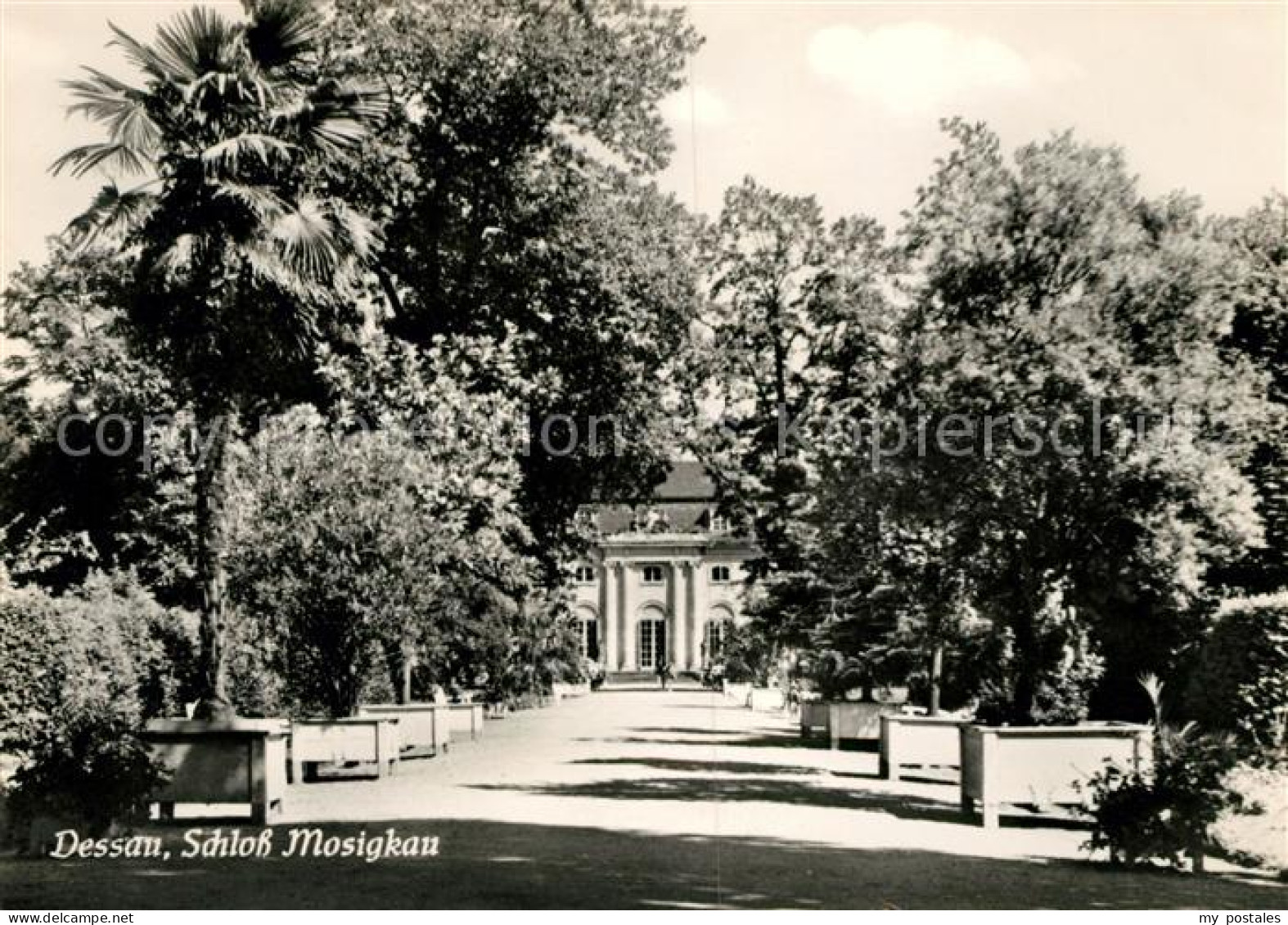 73032295 Dessau-Rosslau Schloss Mosigkau Dessau-Rosslau - Dessau