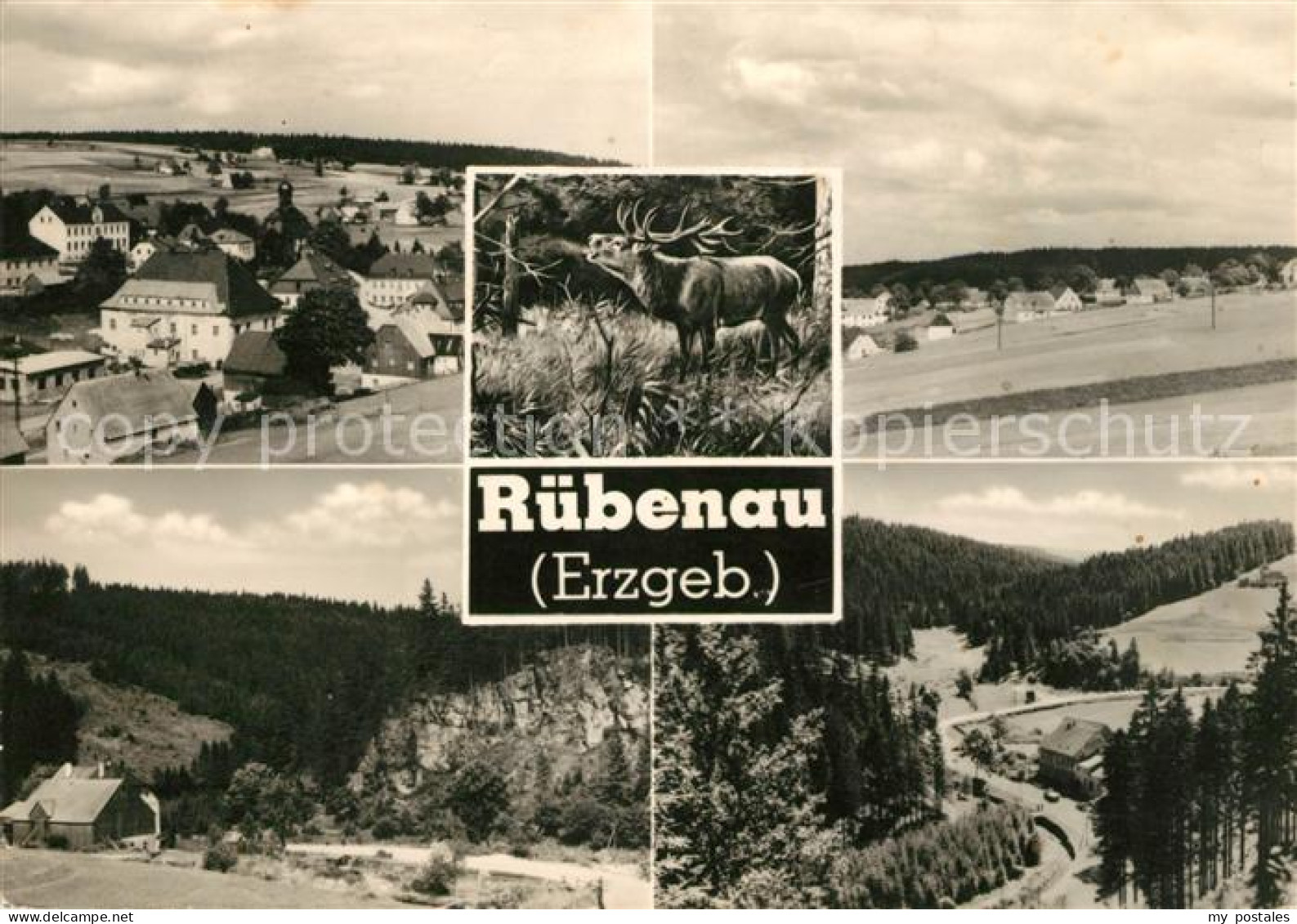 73031965 Ruebenau Panorama Ruebenau - Sonstige & Ohne Zuordnung