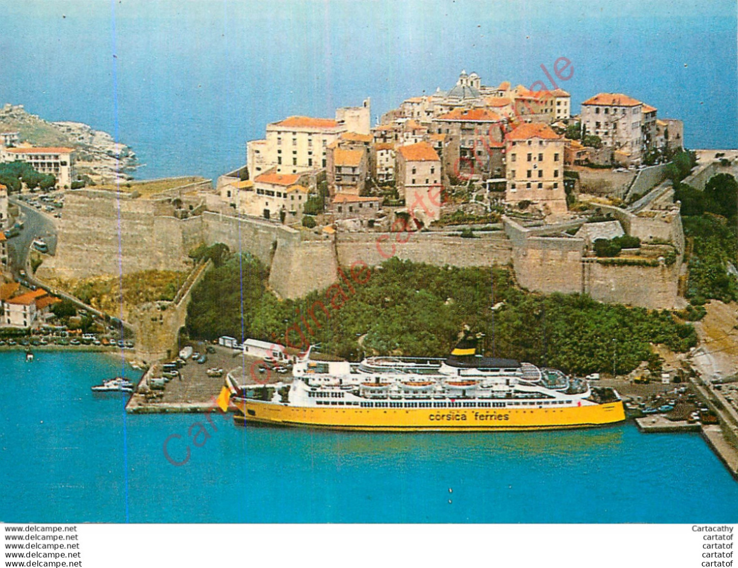 20.  CALVI .  Un Ferry Dans Le Port . - Calvi