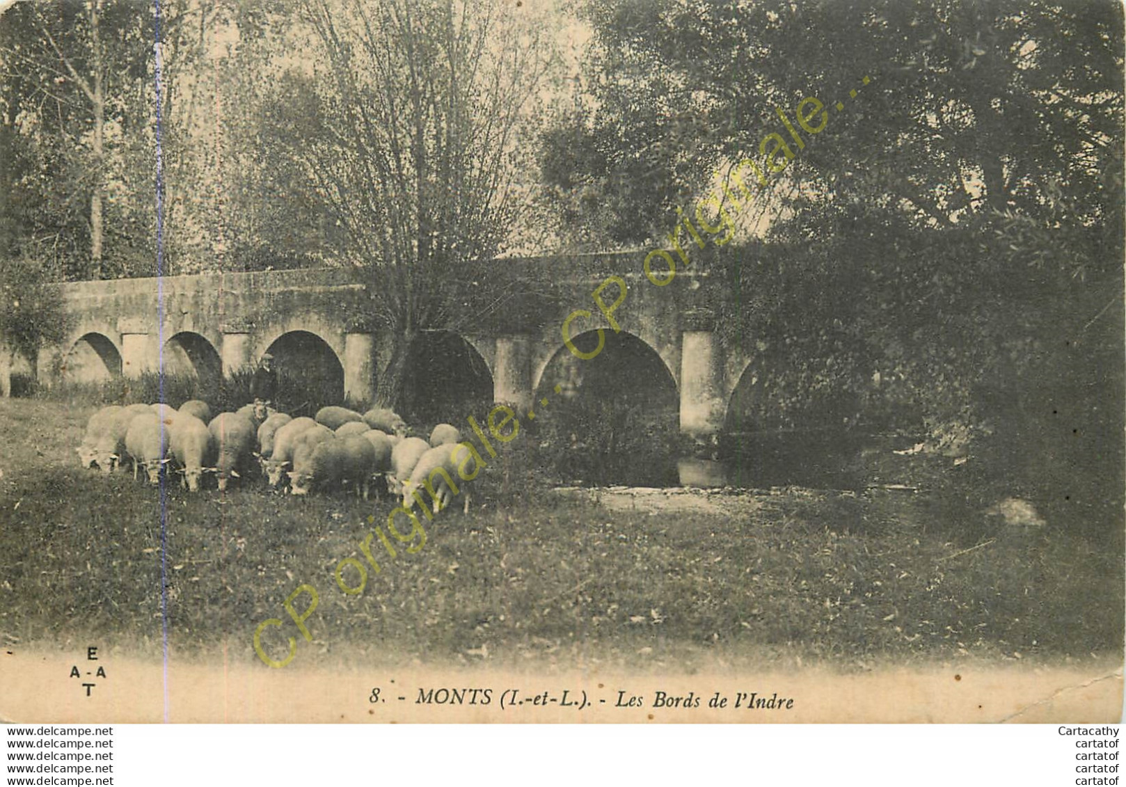 37.  MONTS .  Les Bords De L'Indre . ( Troupeau De Moutons ) . - Other & Unclassified