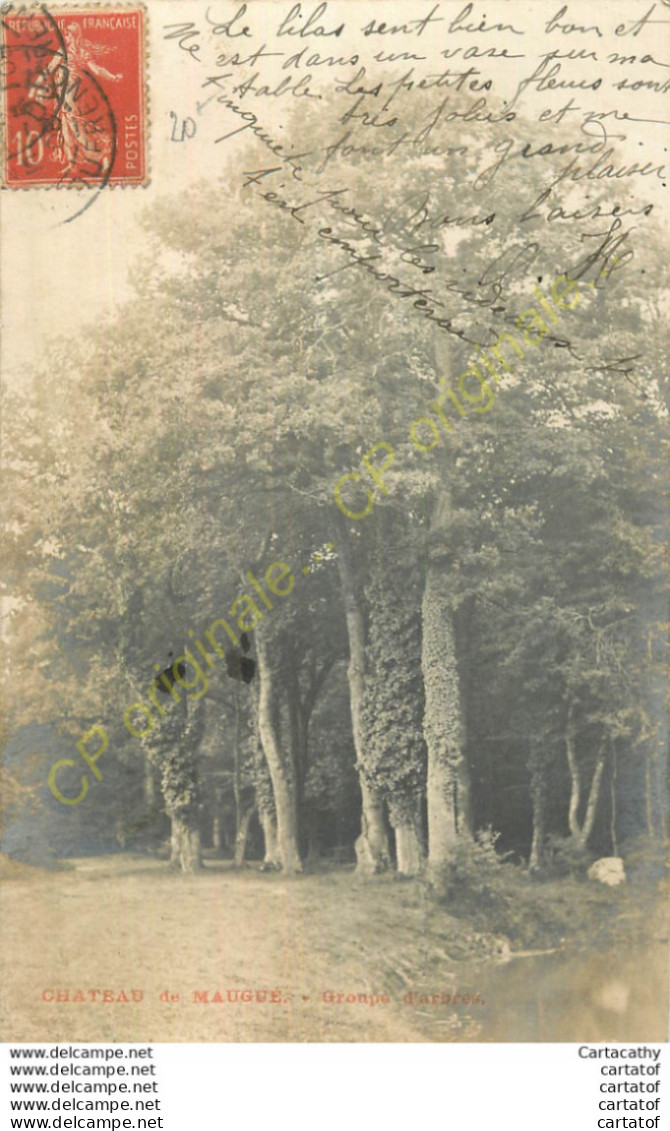 41. Château De MAUGUE .  Groupe D'arbres . - Other & Unclassified