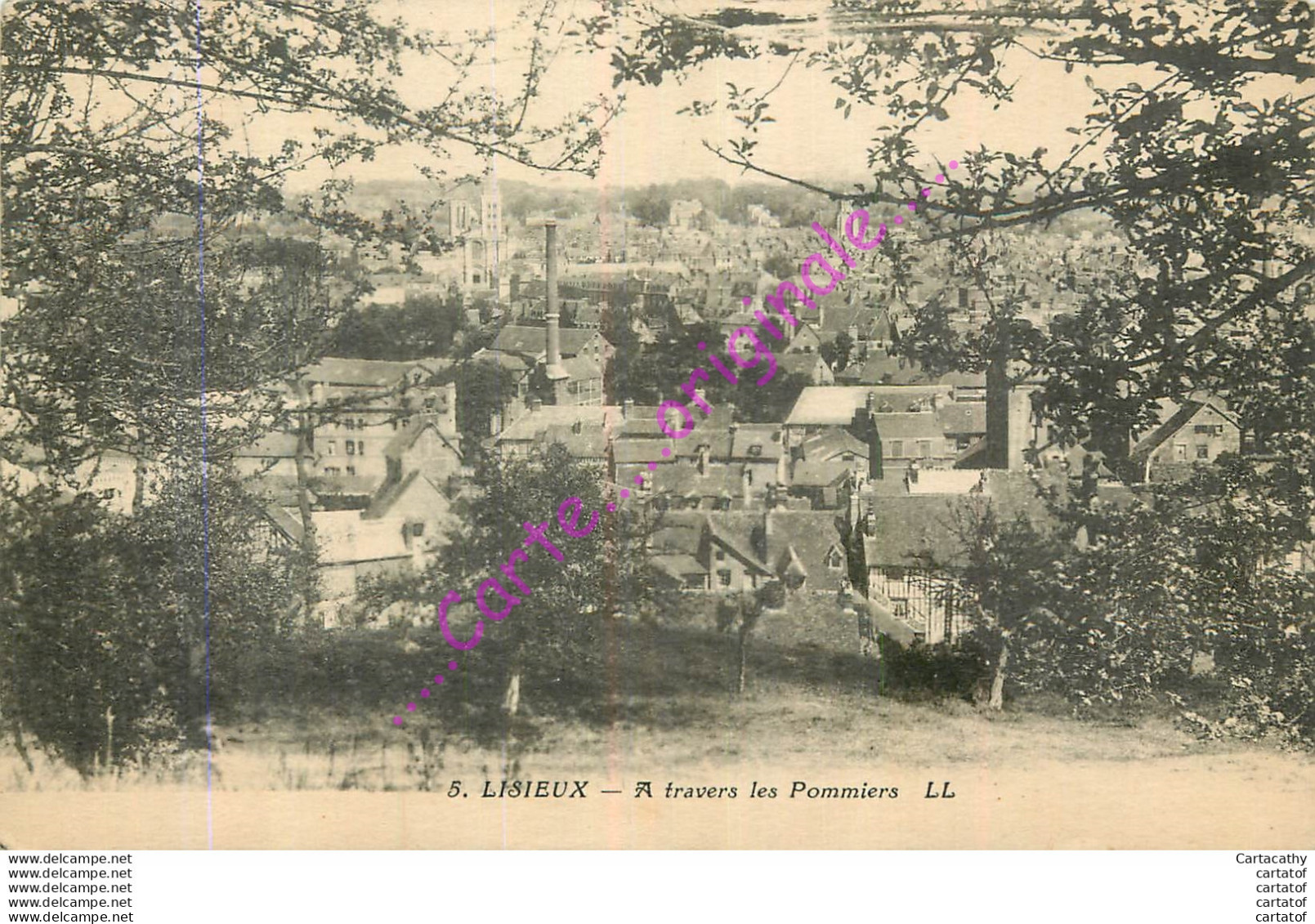 14.  LISIEUX . A Travers Les Pommiers . - Lisieux