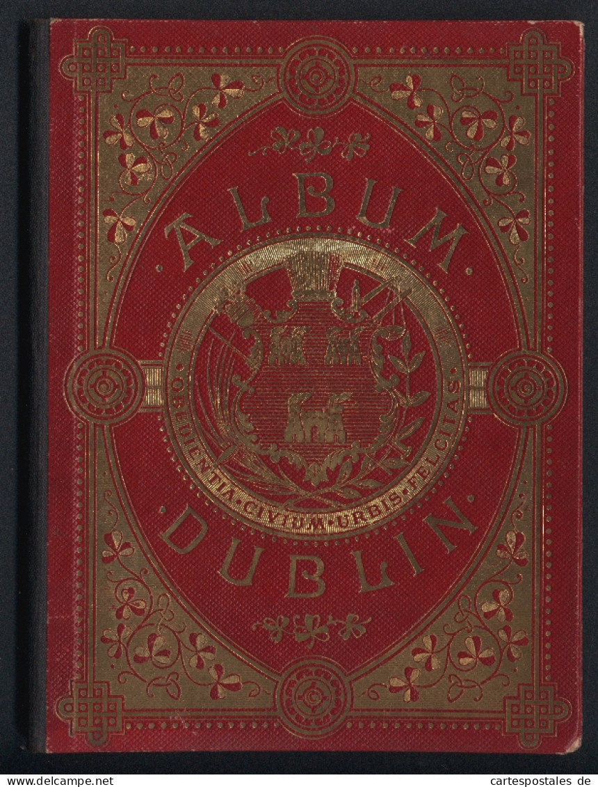 Leporello-Album 38 Lithographie-Ansichten Dublin, Kingstown, Viceregal Lodge, College Of Surgeons, Bank, Gresham Hotel  - Lithographien