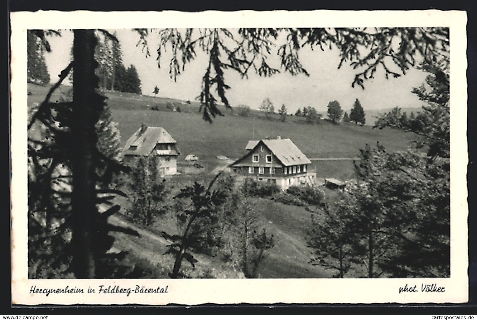 AK Feldberg-Bärental, Blick Auf Hercynenheim  - Feldberg