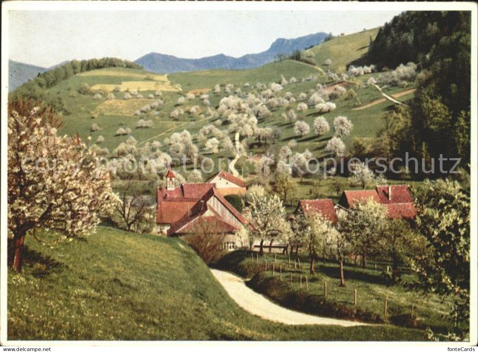 11623050 Waldenburg BL Baselbiet Fruehling Waldenburg BL - Altri & Non Classificati