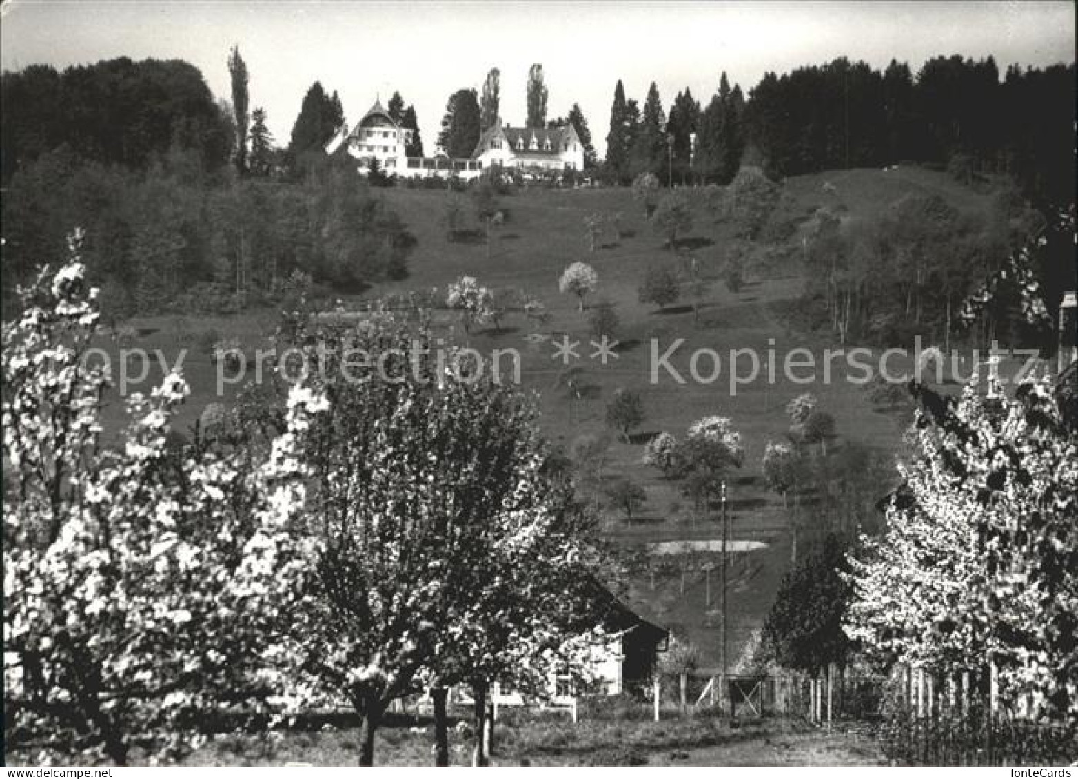 11622824 Liestal Bienenberg Bibelschule Ferienheim Liestal - Andere & Zonder Classificatie