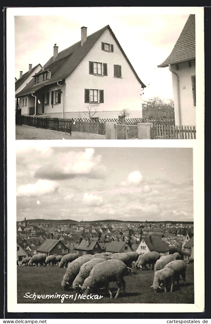AK Schwenningen /Neckar, Haus Siegfried Butzkies, Nagoldstr. 43, Weidende Schafe Vor Der Stadt  - Nagold