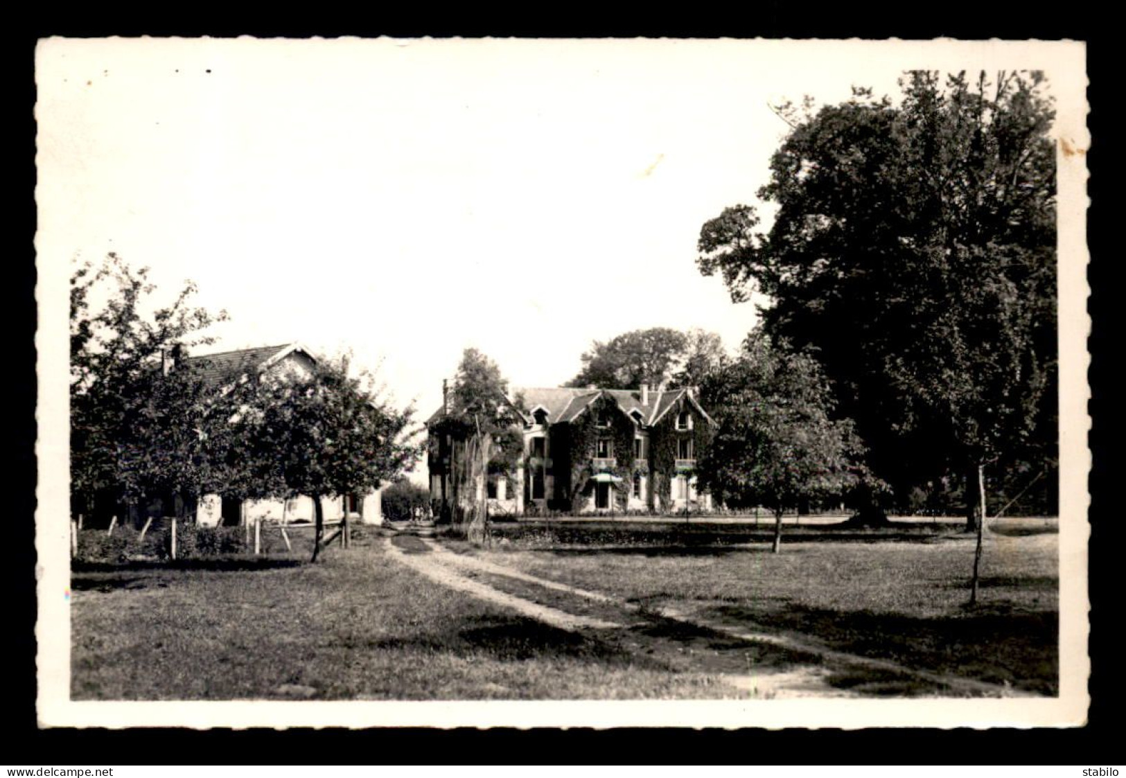 52 - ROSOY-SUR-AMANCE - COLONIE S.N.C.F. AU CHATEAU - Autres & Non Classés