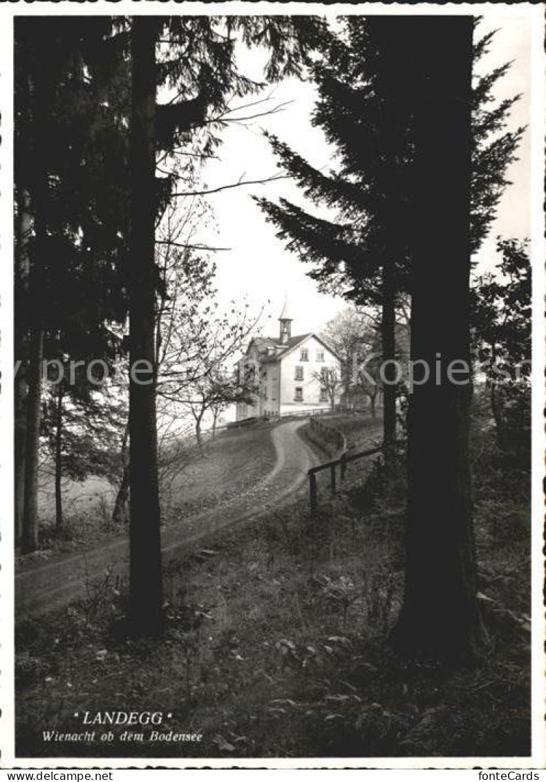 11622368 Wienacht-Tobel Landegg Bodensee Wald Wienacht-Tobel - Altri & Non Classificati