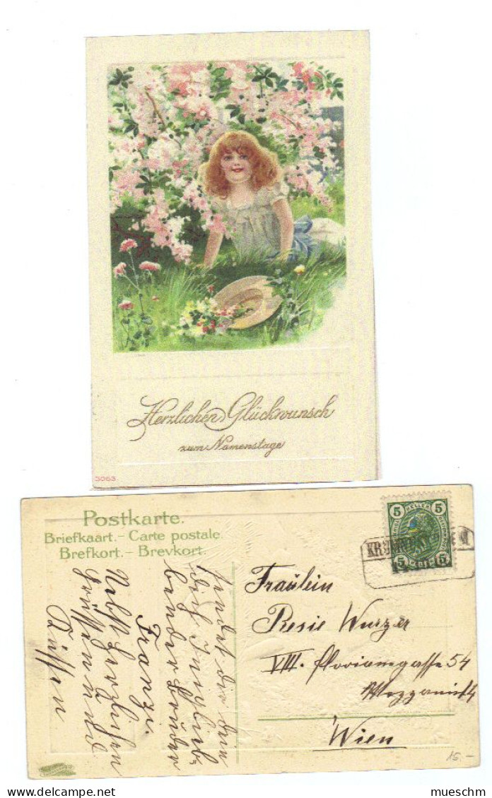 Österreich, 1906, Bunte Namens Tags-Glückwunschkarte, Frankiert Mit MiNr. 133 (11816E) - Andere & Zonder Classificatie