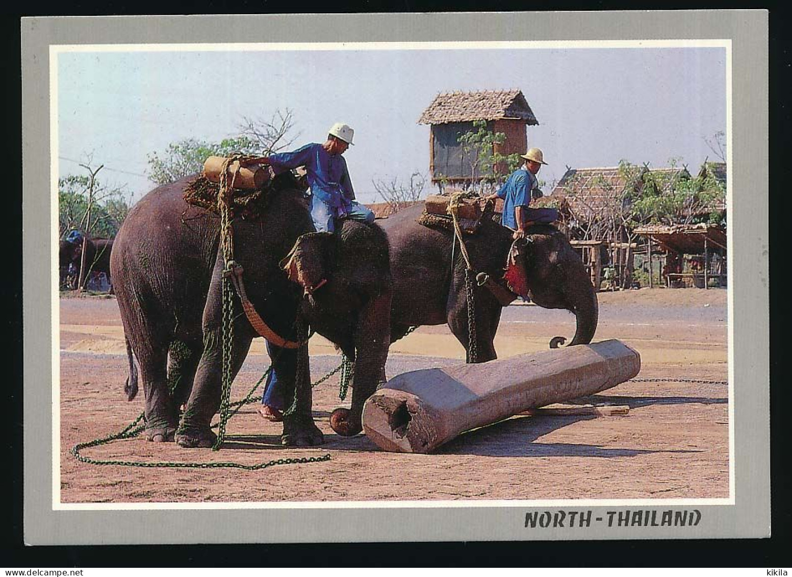 CPSM / CPM 10.5 X 15 Thaïlande (144) CHIANGMAI Elephants Au Travail En Forêt - Thailand