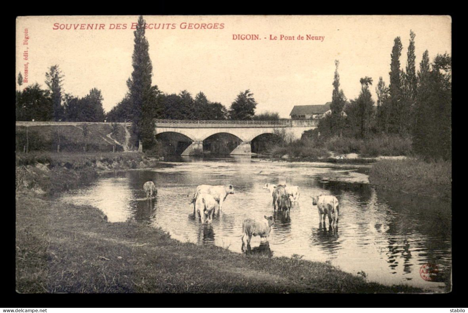 71 - DIGOIN - LE PONT DE NEUZY - VACHES CHAROLAISES - Digoin