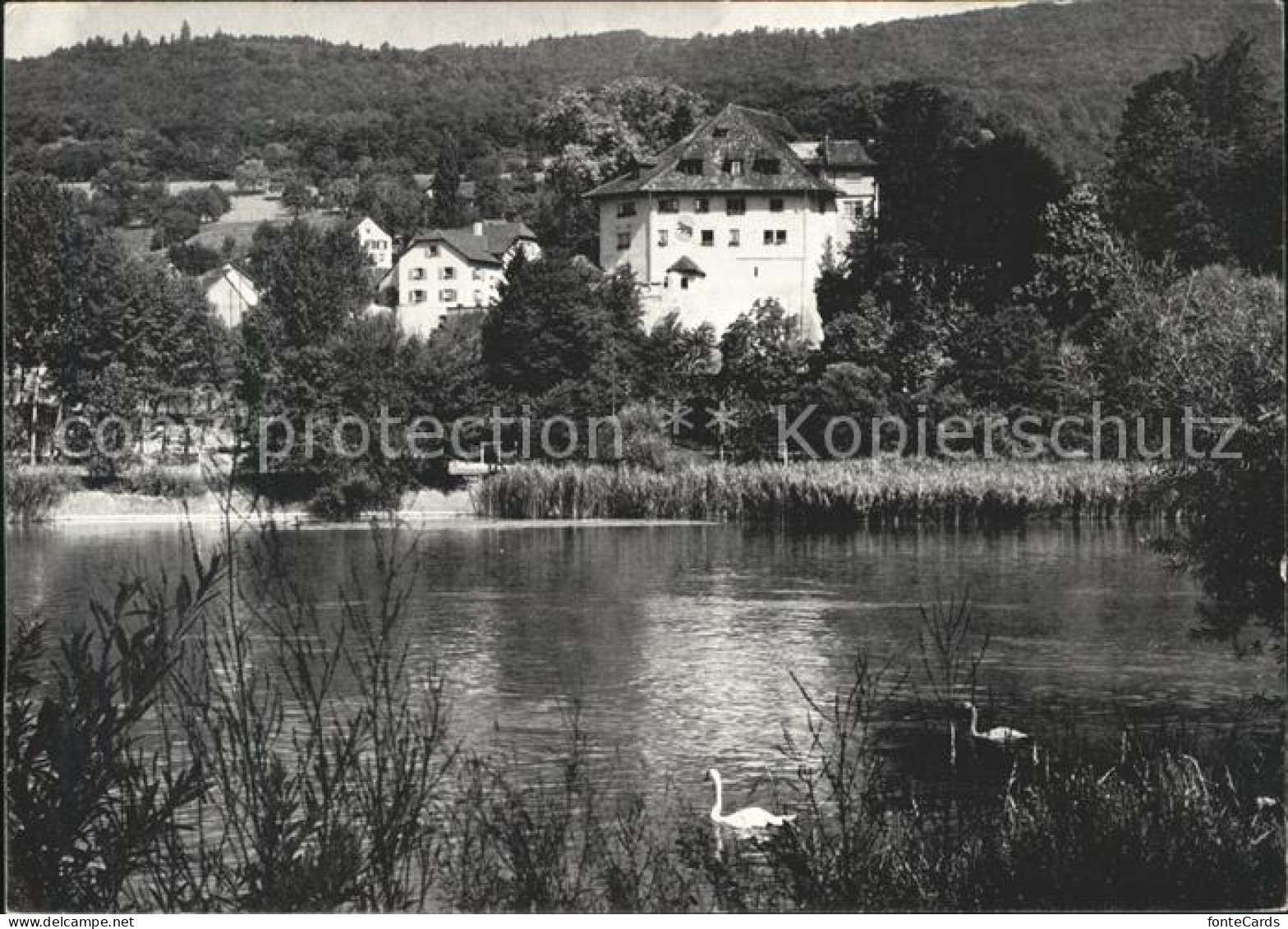 11622156 Baden AG Schloss Biberstein Baden - Autres & Non Classés