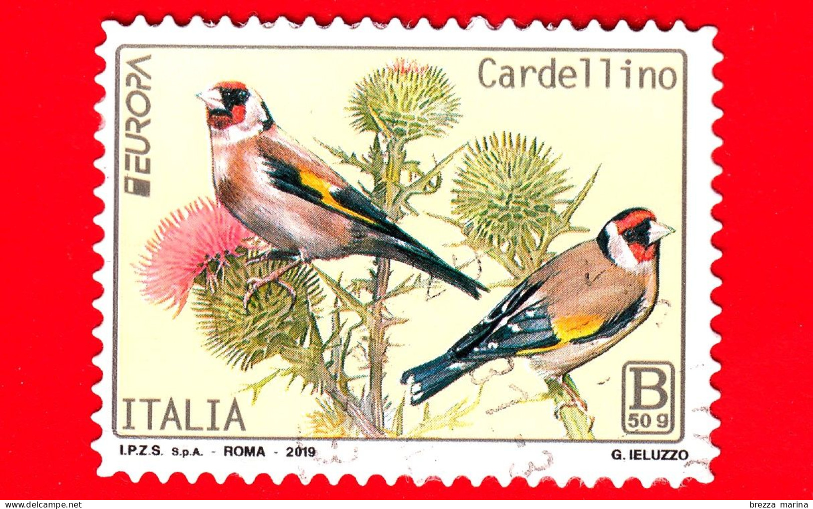 ITALIA - Usato - 2019 - Europa 2019 - Uccelli - Bird - Cardellino – B 50g - 2011-20: Usati