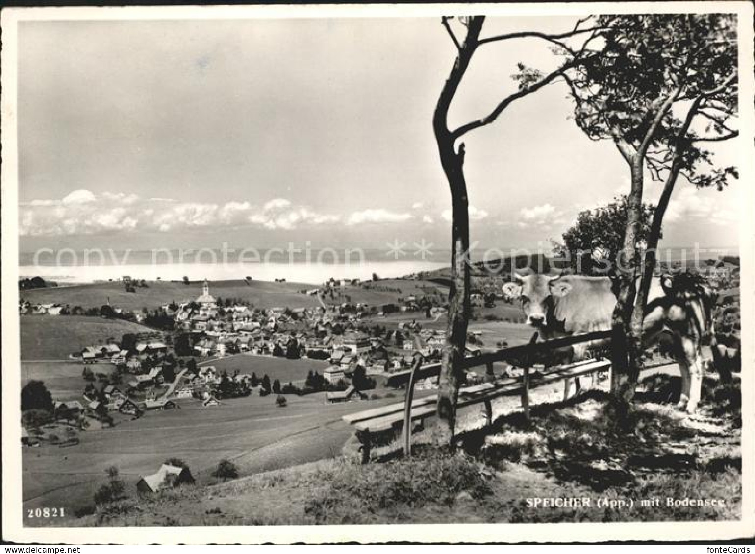 11622135 Speicher AR Bodensee Speicher - Sonstige & Ohne Zuordnung