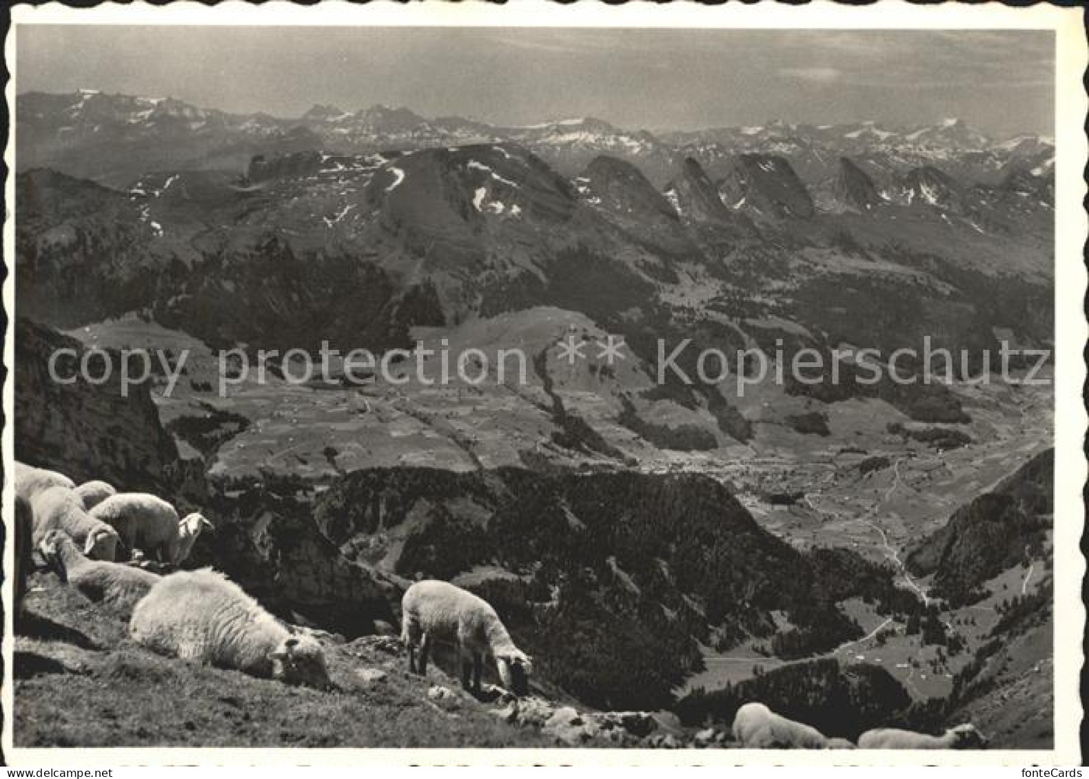 11622127 Saentis AR Obertoggenburg Saentis AR - Sonstige & Ohne Zuordnung