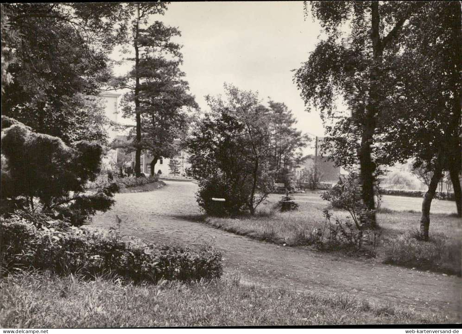 1059028 La Calamine, Der Park, Kelmis - Sonstige & Ohne Zuordnung