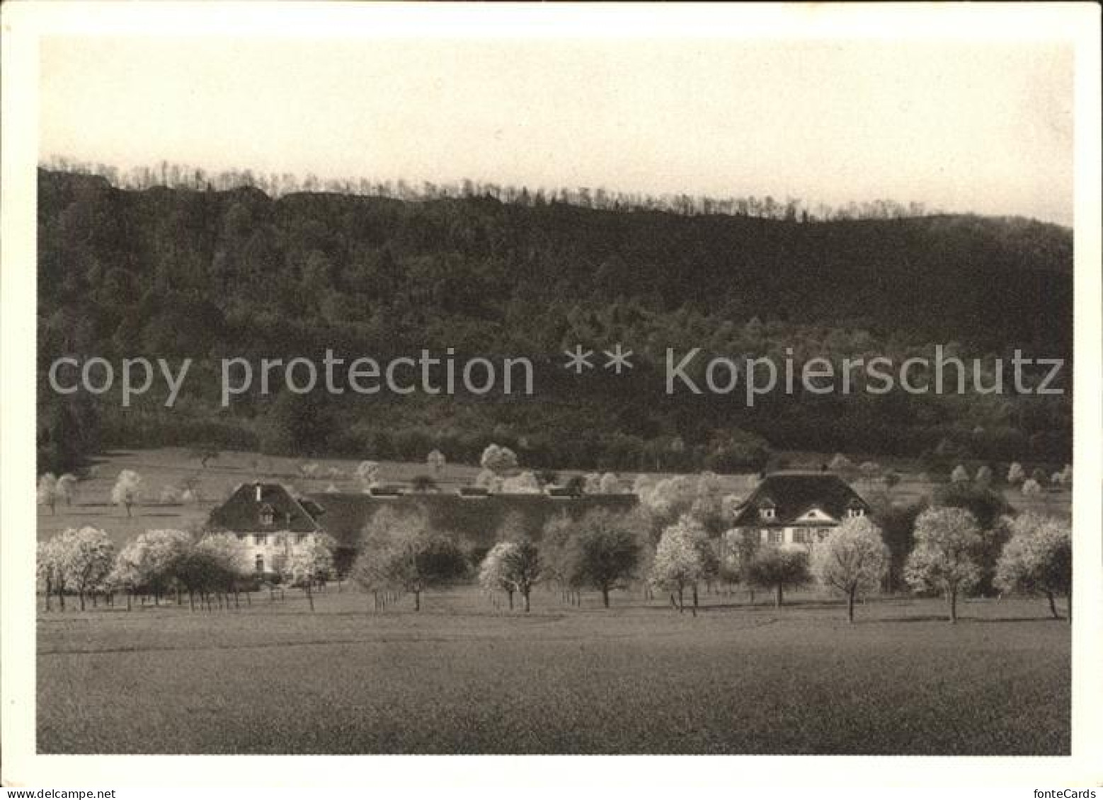 11621939 Birr Pestalozzi-Neuhof Birr - Autres & Non Classés