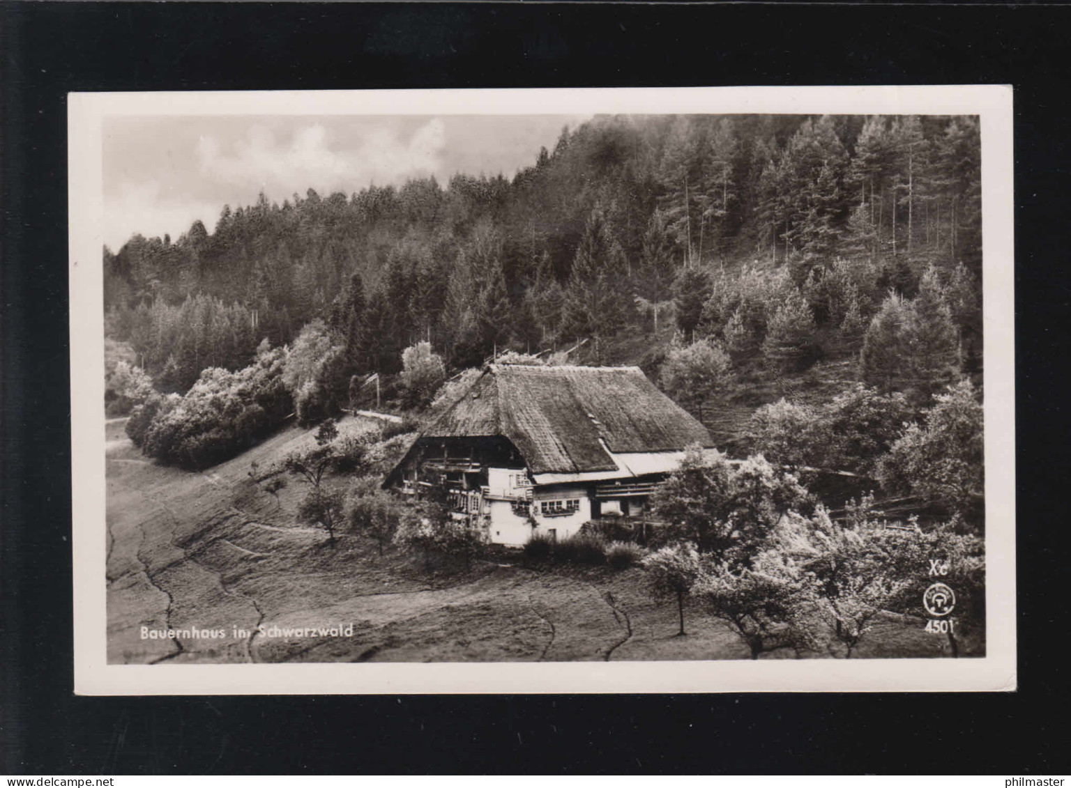 Landwirtschaft Bauernhaus Im Schwarzwald Landschaft Panorama, Titisee 27.8.1951 - Other & Unclassified