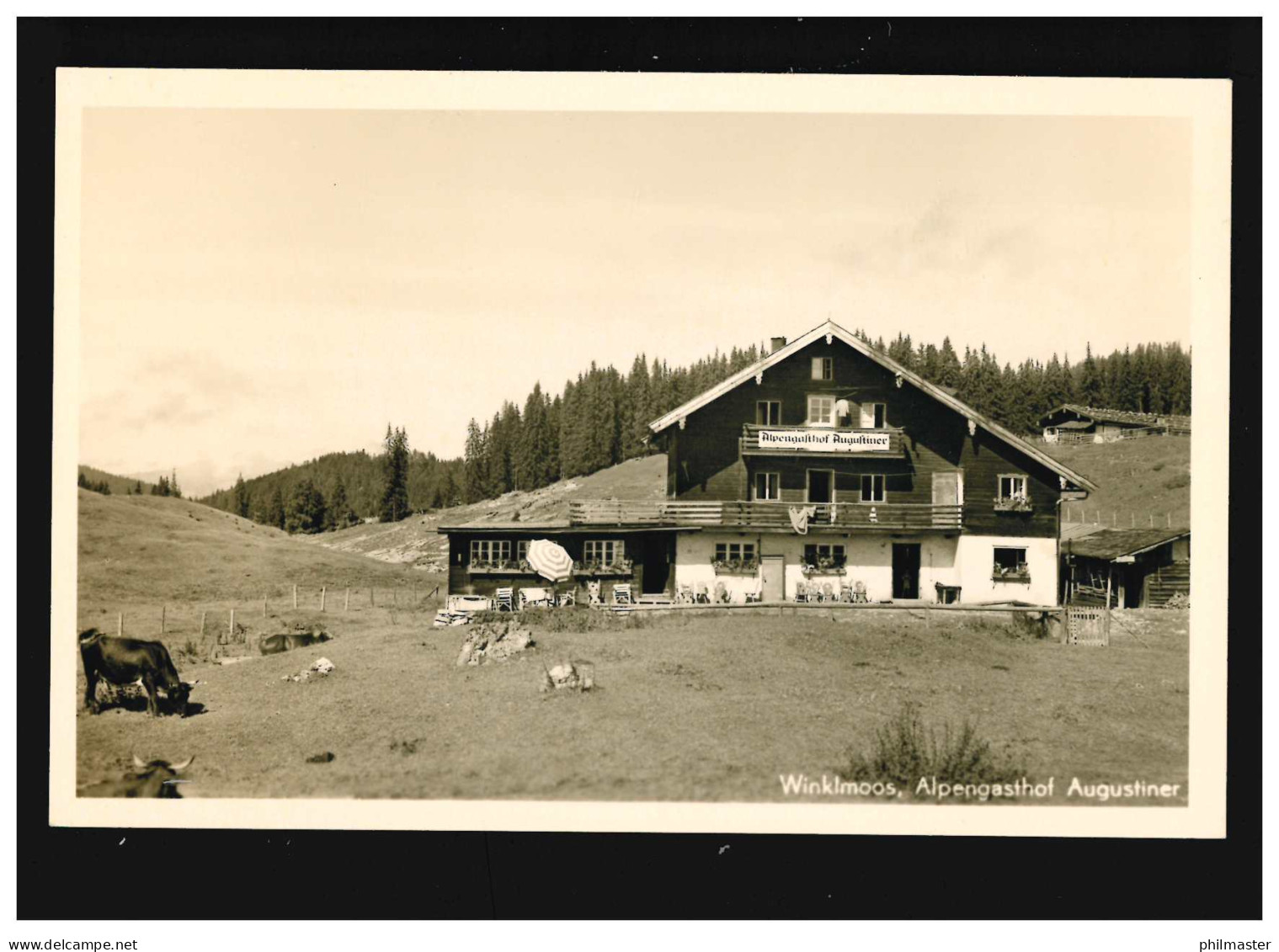 Landwirtschaft Winklmoos Alpengasthof Augustiner Kühe Weide, Ungebraucht - Autres & Non Classés