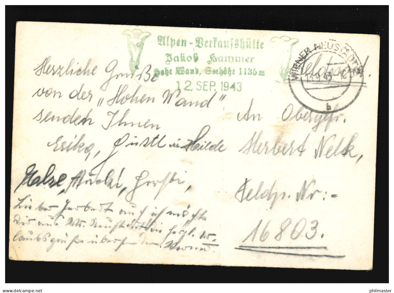 AK Teufelsgrat Hohe Wand, Alpen, Feldpost,  Wiener Neustadt 13.9.1943 - Other & Unclassified