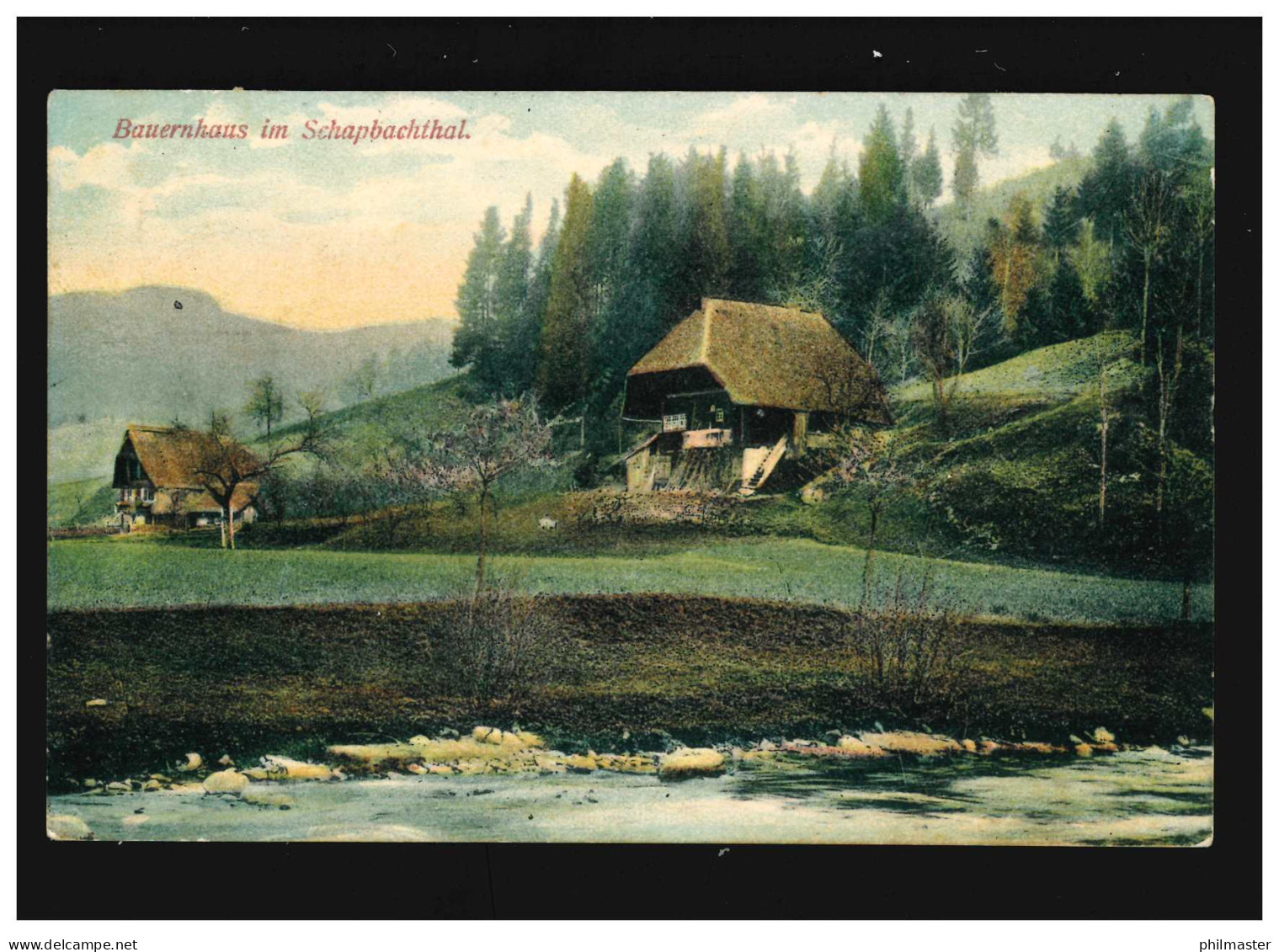 Landwirtschaft Bauernhaus Schapbachtal Schwarzwald Reetdach, Hausach 30.6.1908 - Sonstige & Ohne Zuordnung